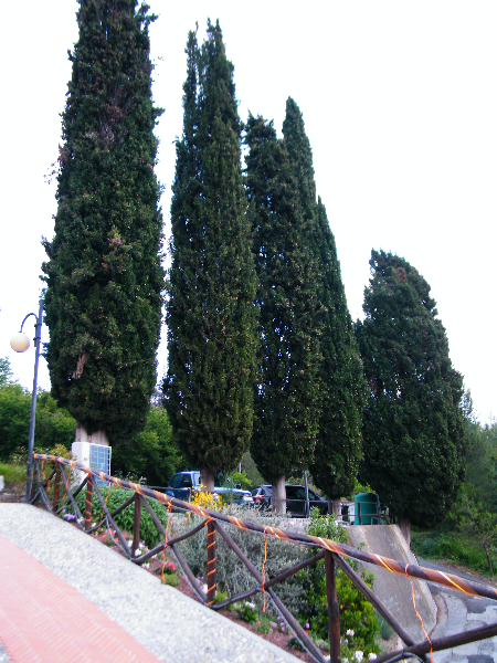 dscf0042
